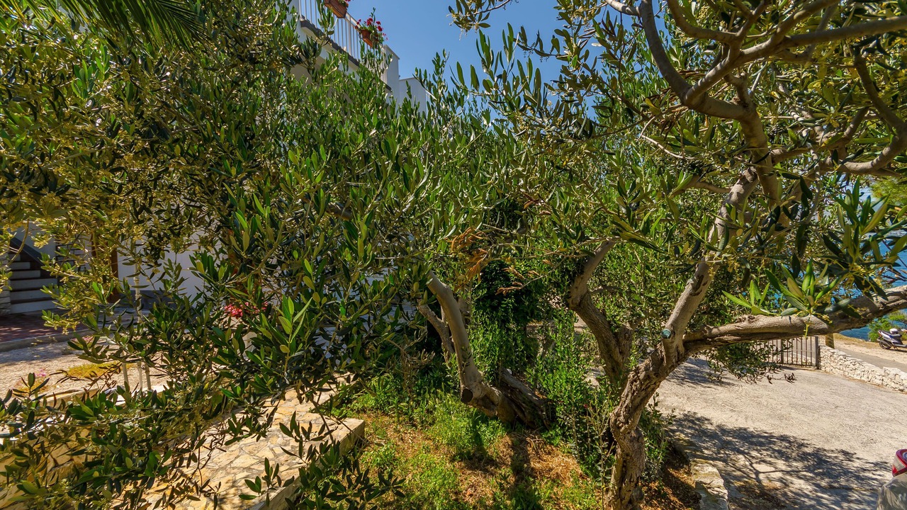 Photo of Outdoor in Slatine