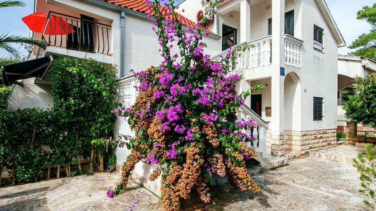Photo of Outdoor in Petrcane