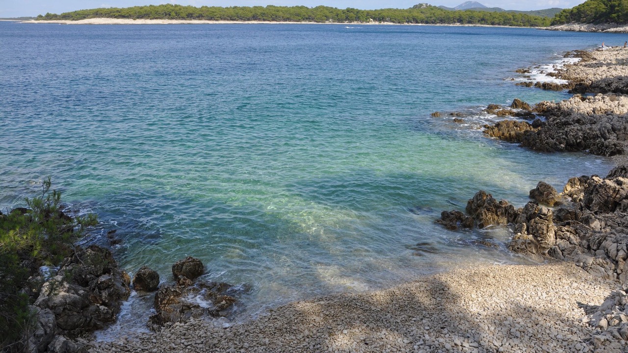 Photo of Others in Cove Murtar