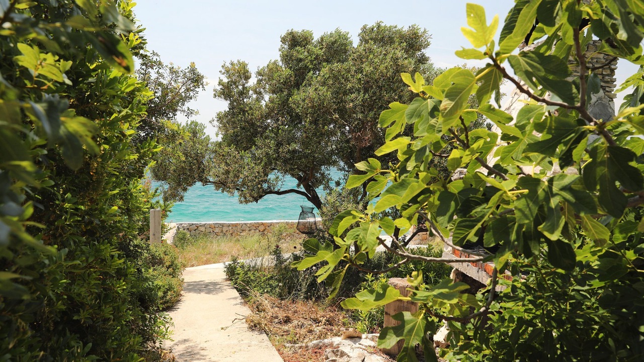 Photo of Outdoor in Tkon