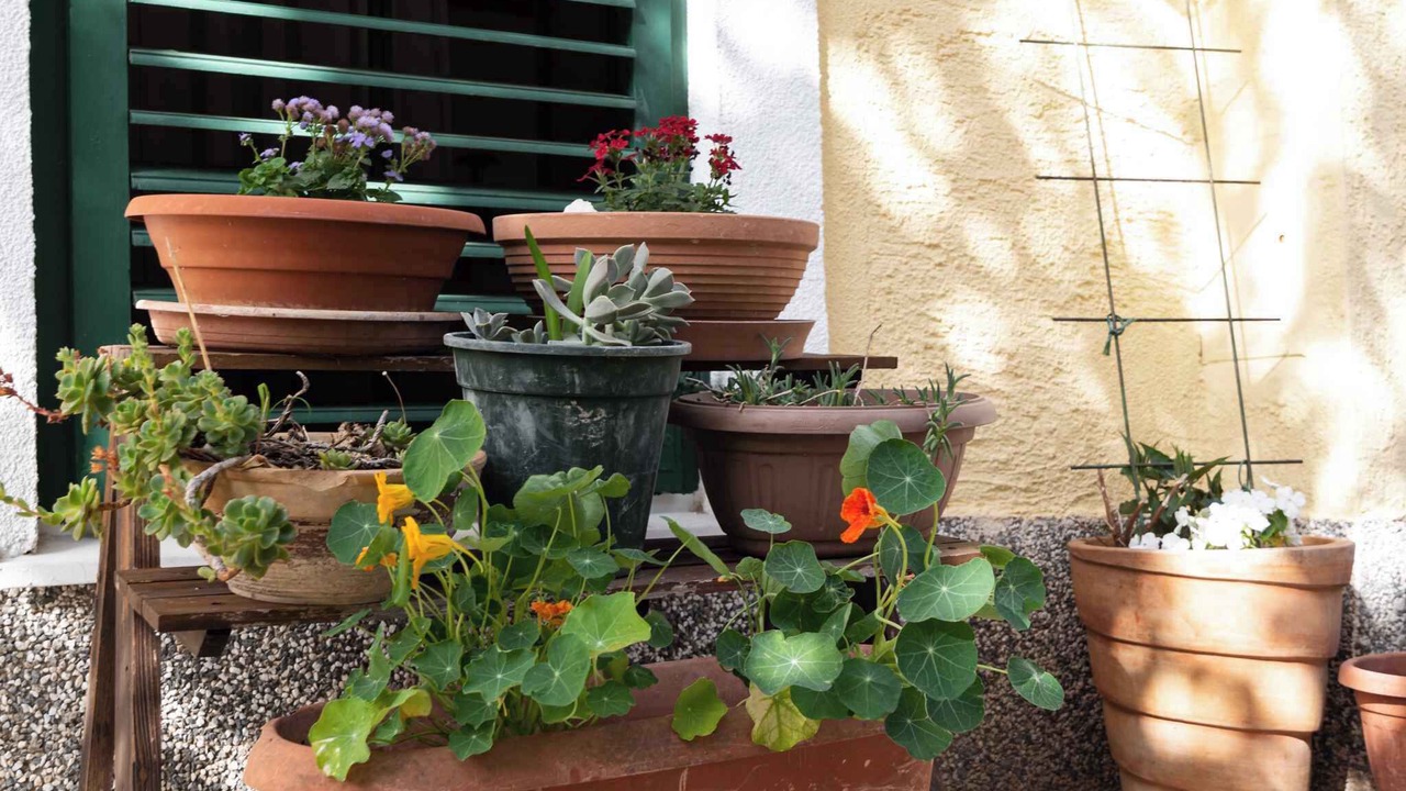 Photo of Outdoor in Kukljica