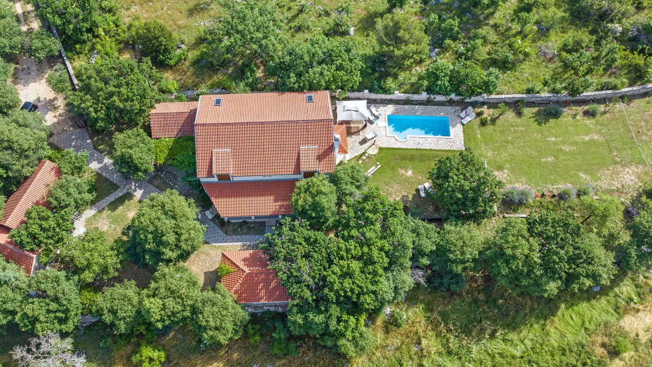 Photo of Others in Gradina