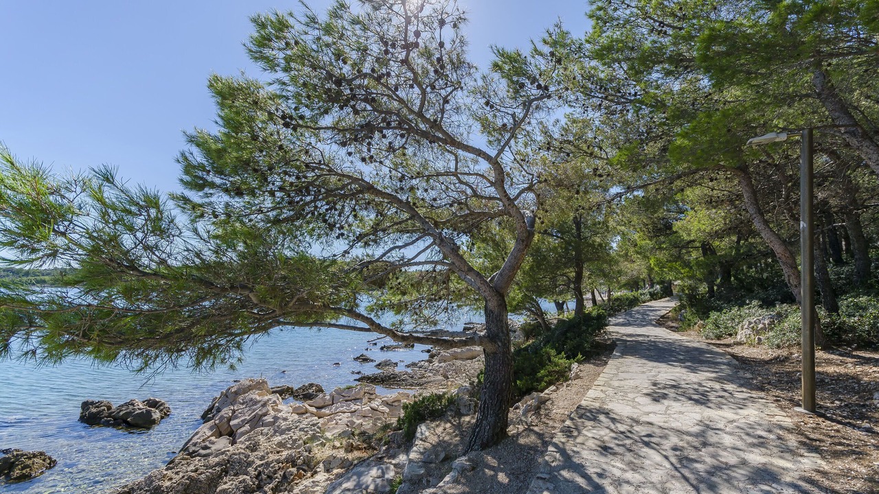 Photo of Outdoor in Jezera