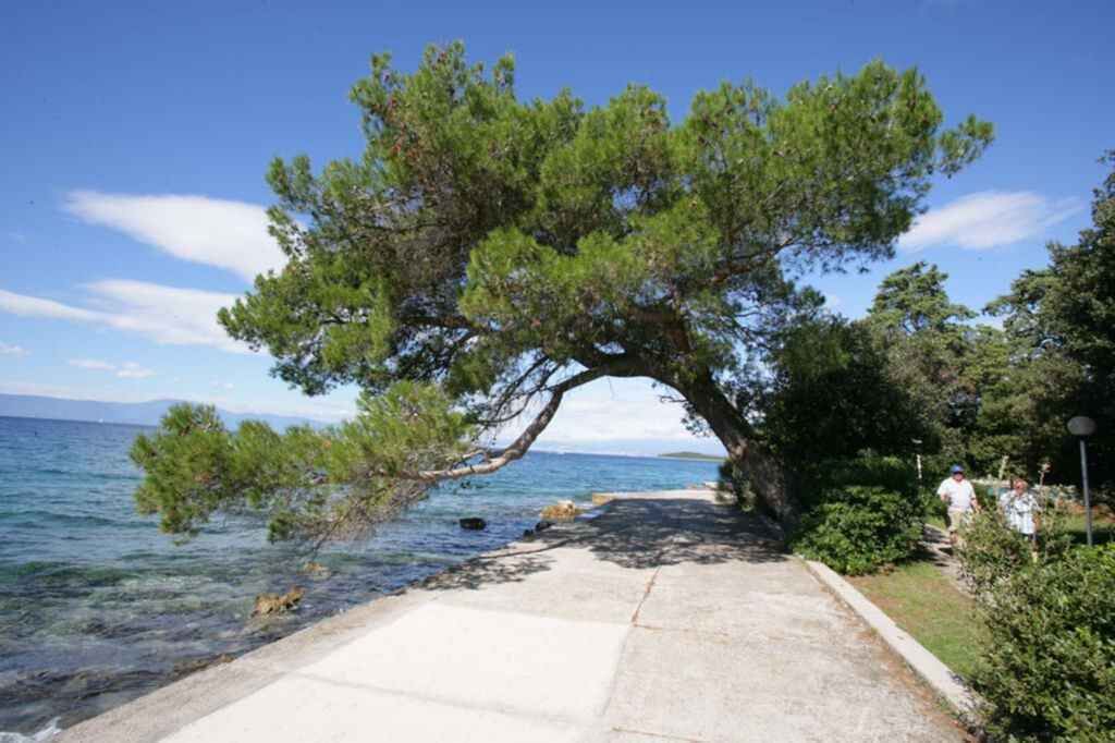 Photo of Others in Malinska