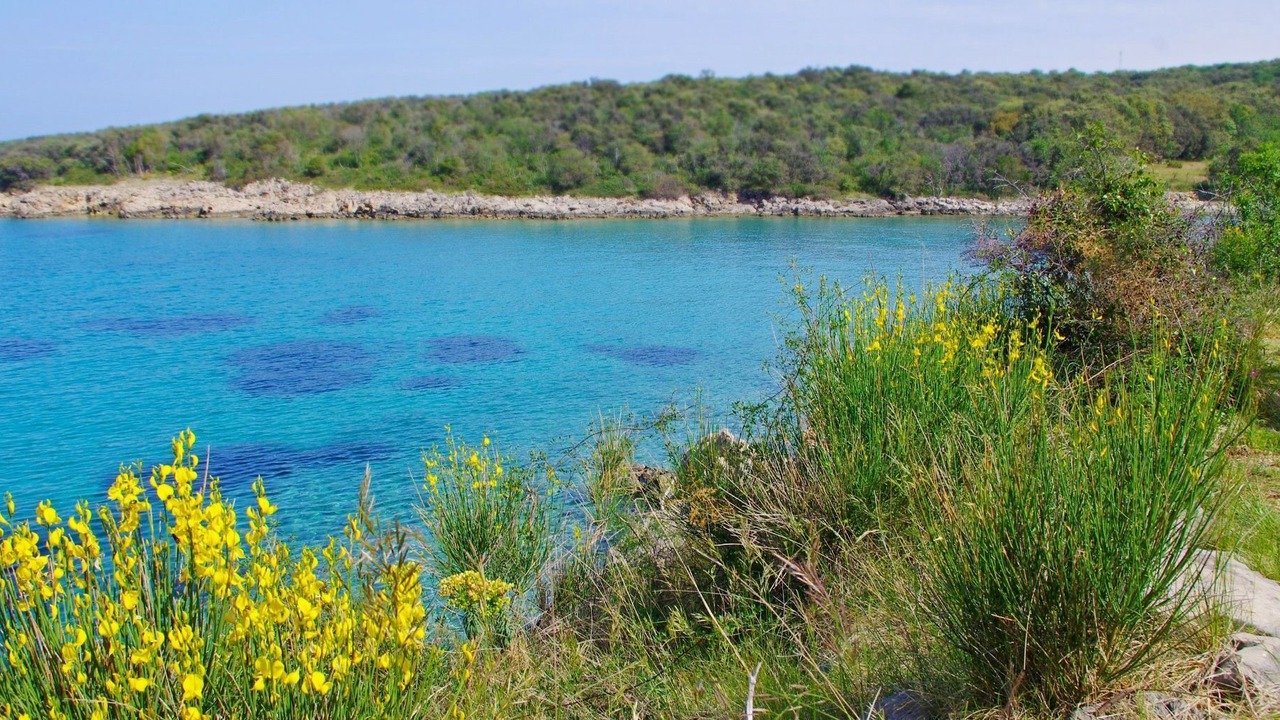 Photo of Others in Novalja