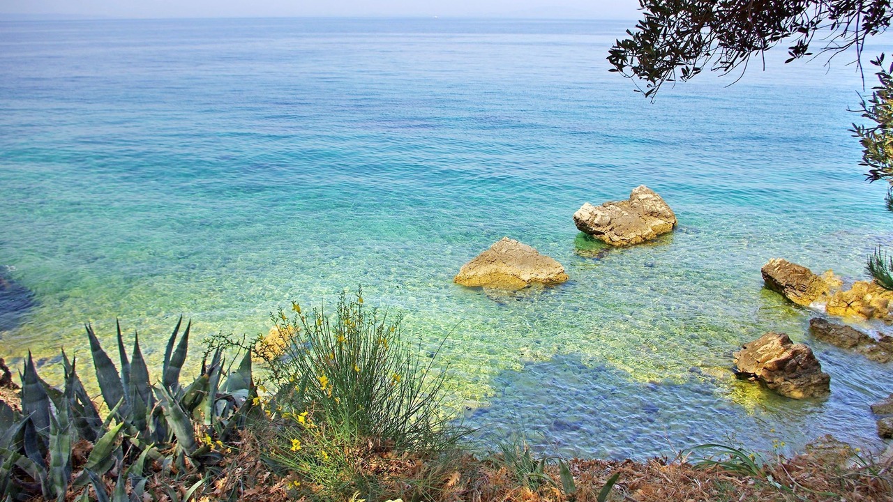Photo of Others in Novalja