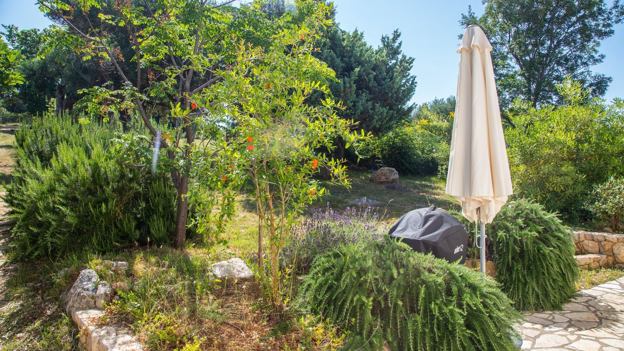 Photo of Outdoor in Novalja