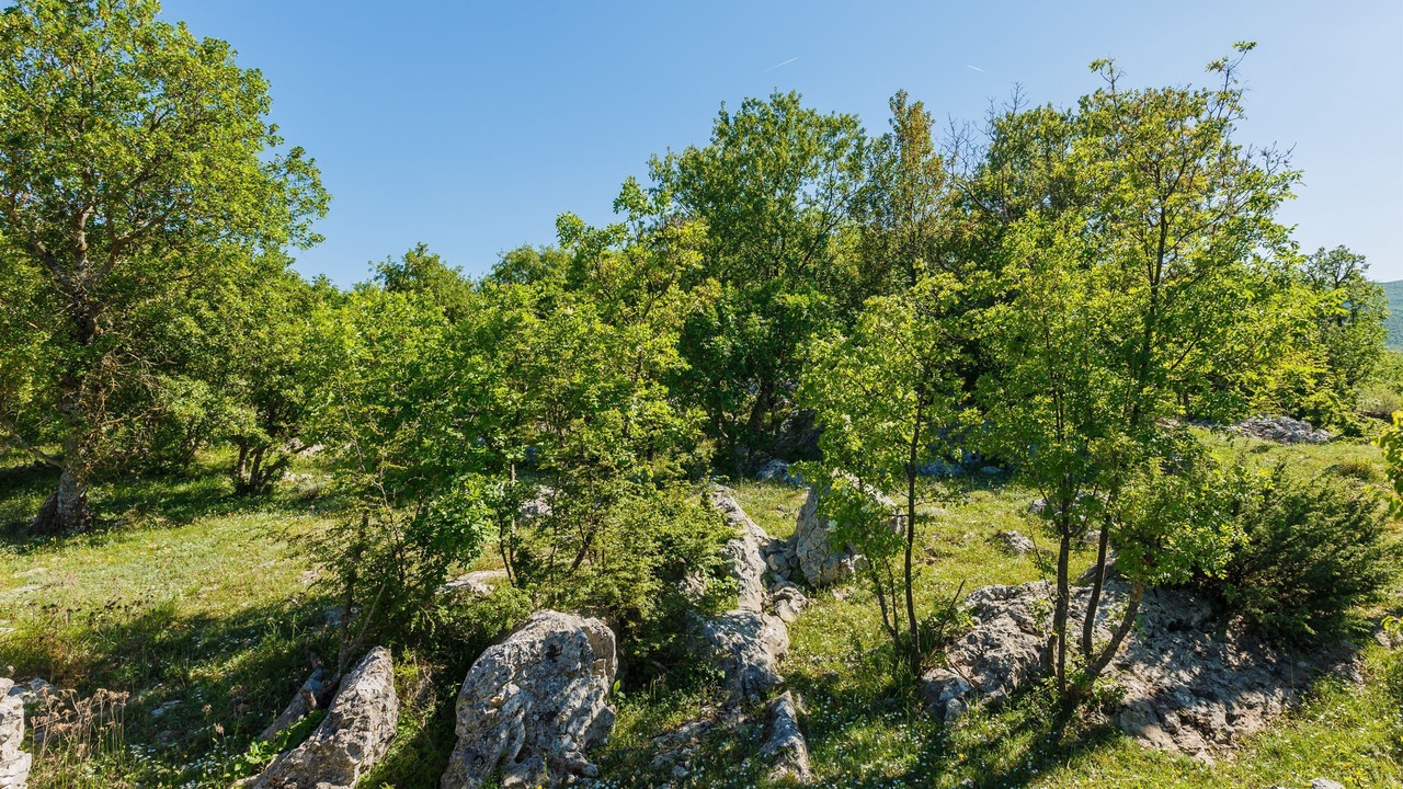 Photo of Outdoor in Primorski Dolac