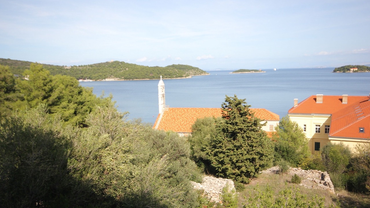 Photo of Others in Vis