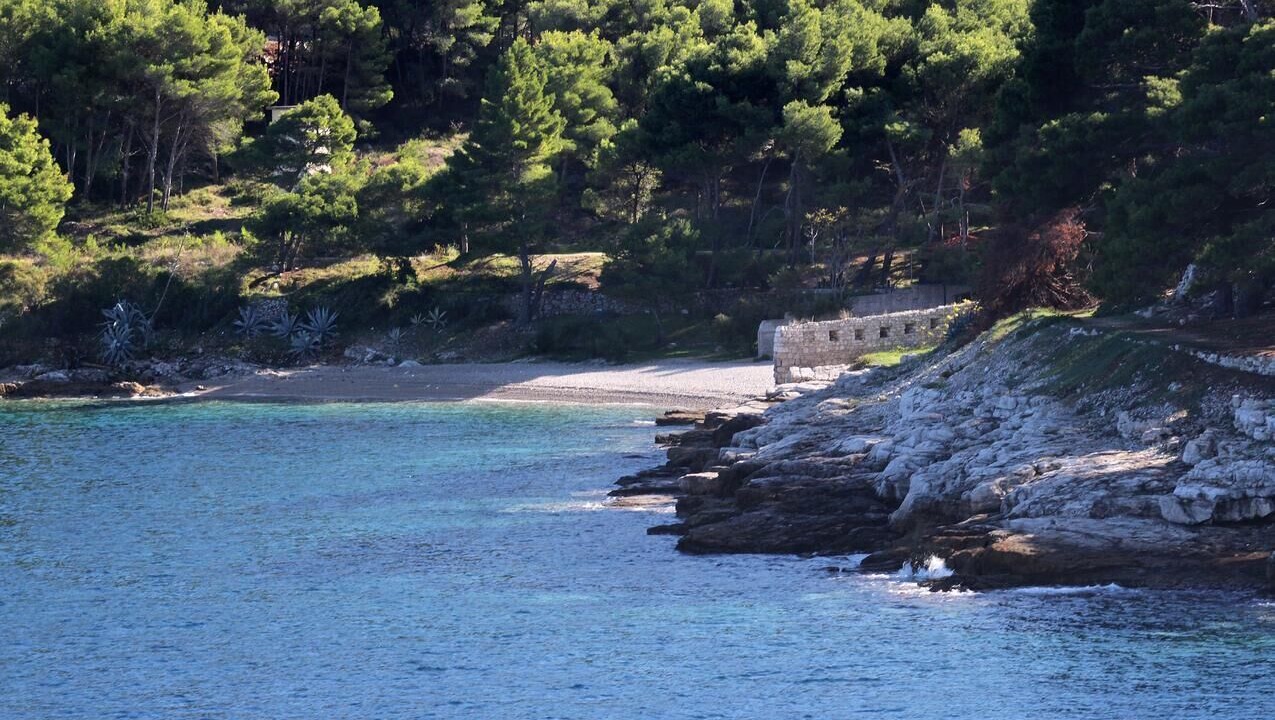 Photo of Others in Vis