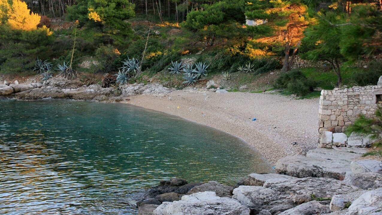 Photo of Others in Vis