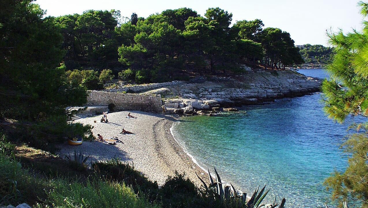 Photo of Others in Vis