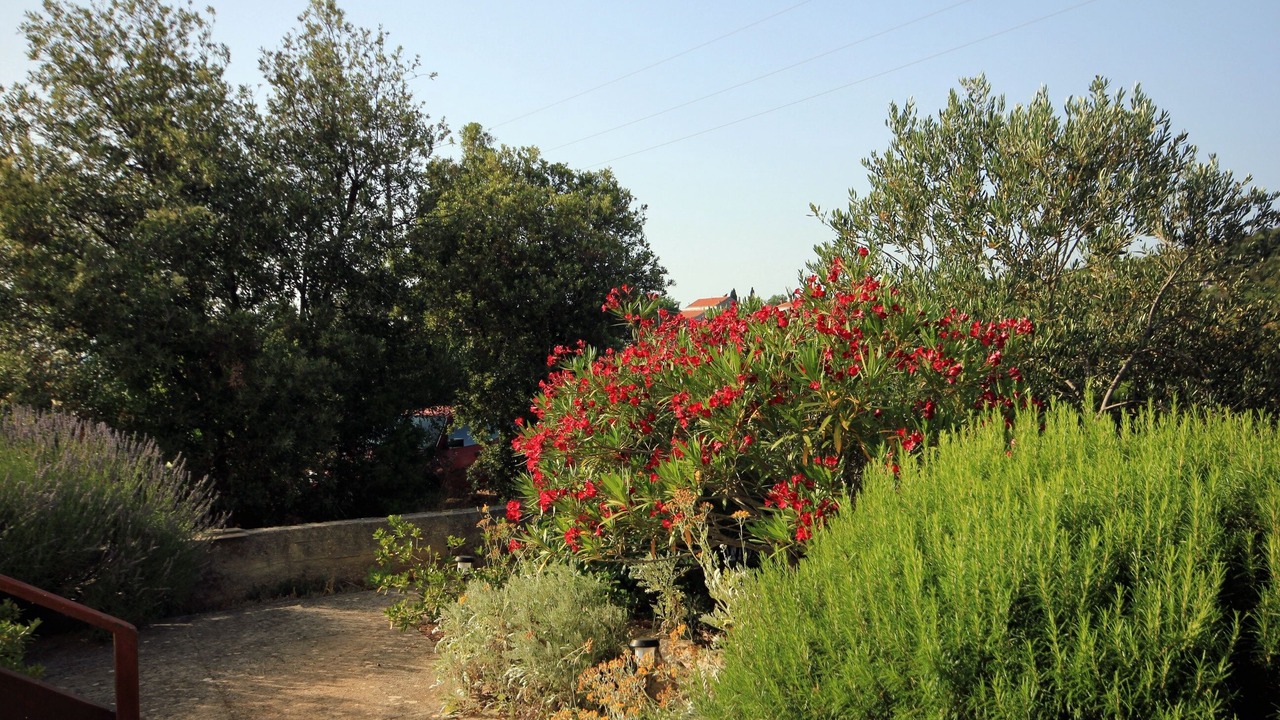 Photo of Others in Island Dugi Otok