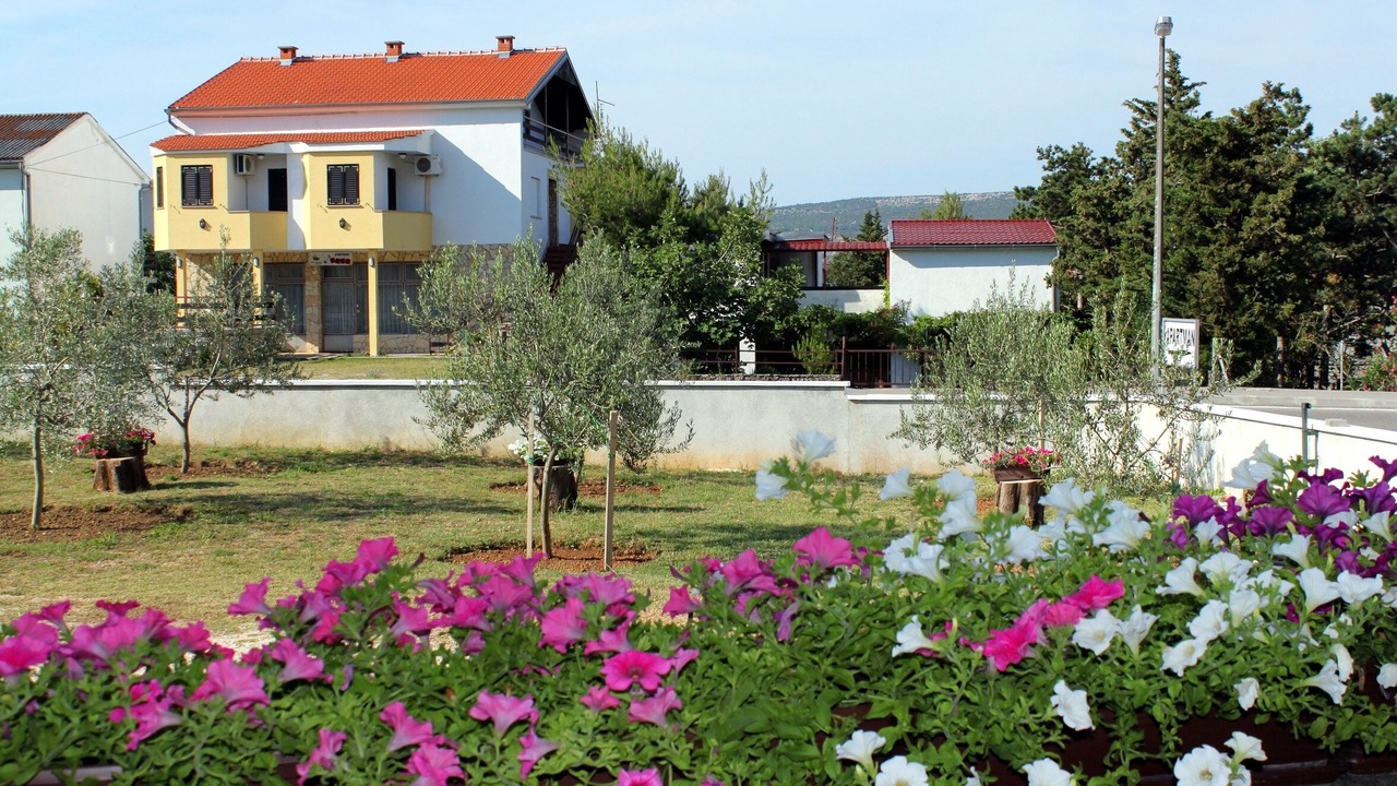 Photo of Others in Seline
