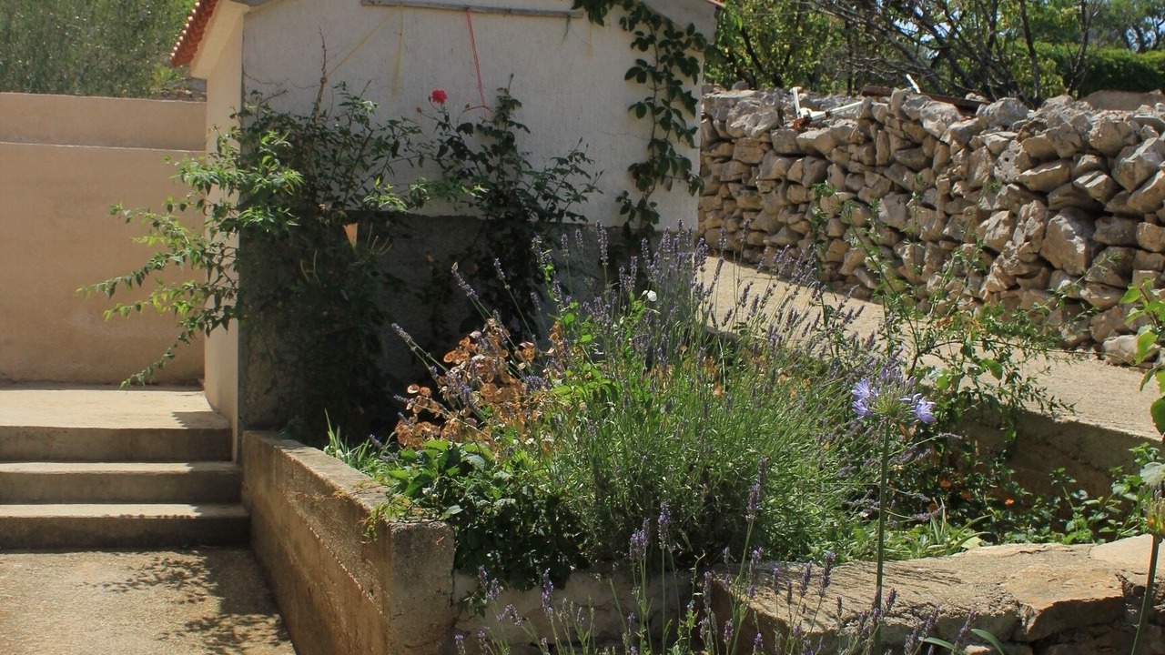 Photo of Outdoor in Island Dugi Otok