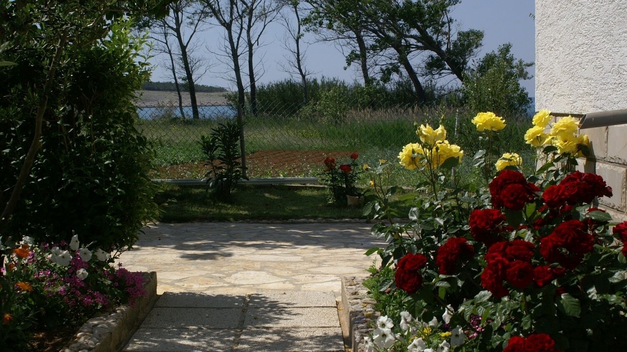 Photo of Outdoor in Povljana