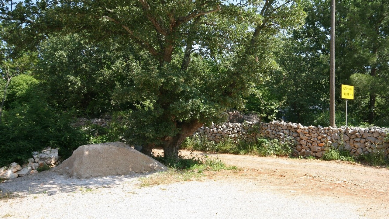 Photo of Others in Pinezici