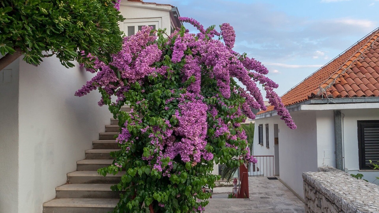Photo of Outdoor in Split
