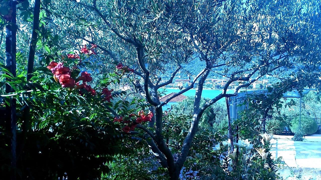 Photo of Outdoor in Vinisce