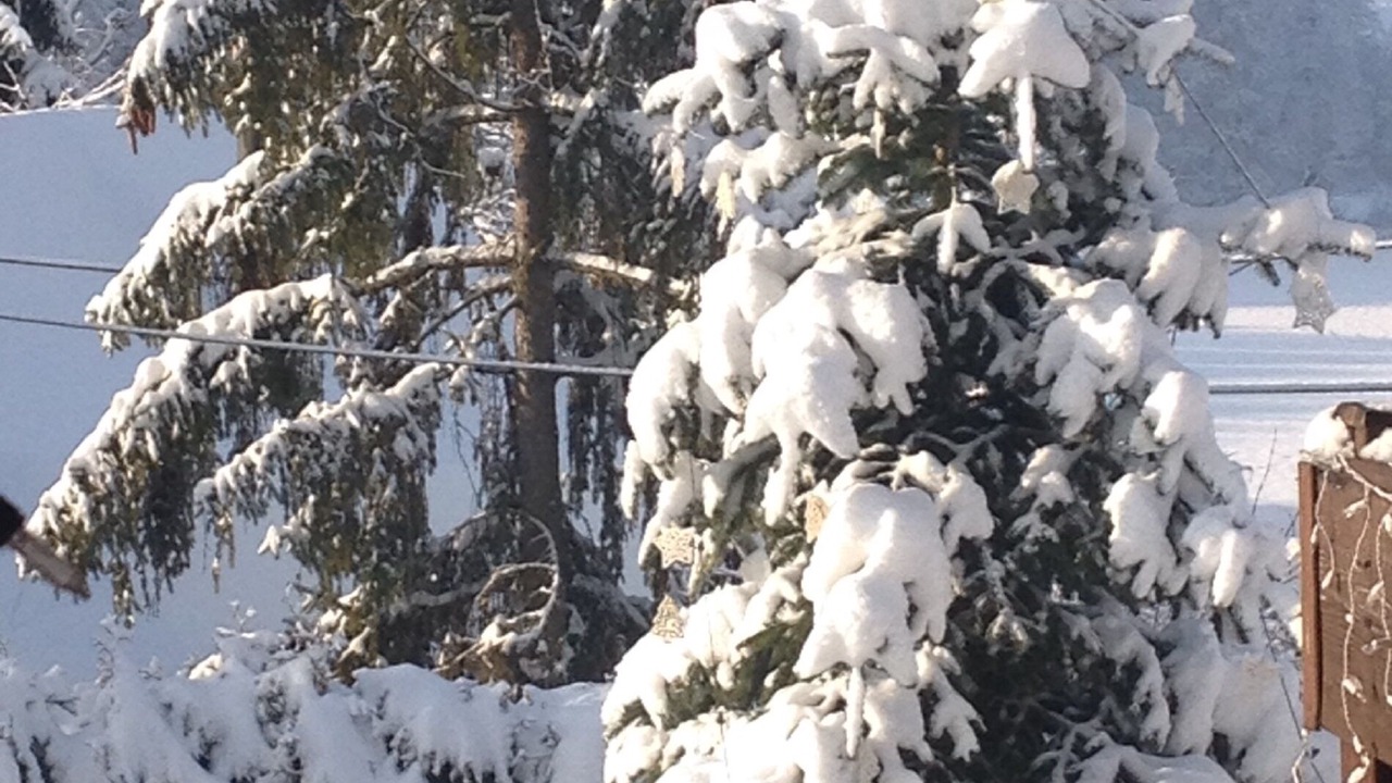 Photo of Outdoor in Marija Bistrica