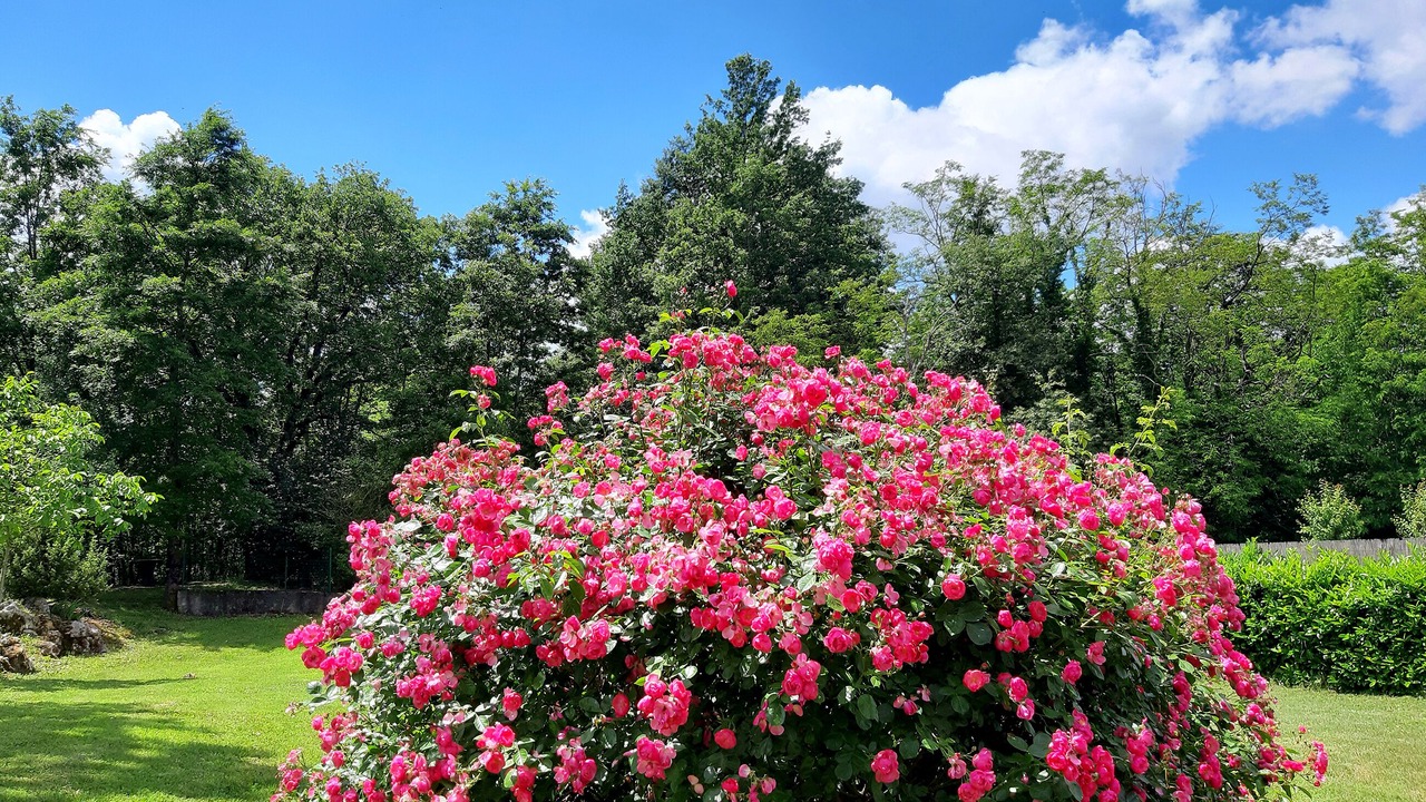 Photo of Outdoor in Gracisce