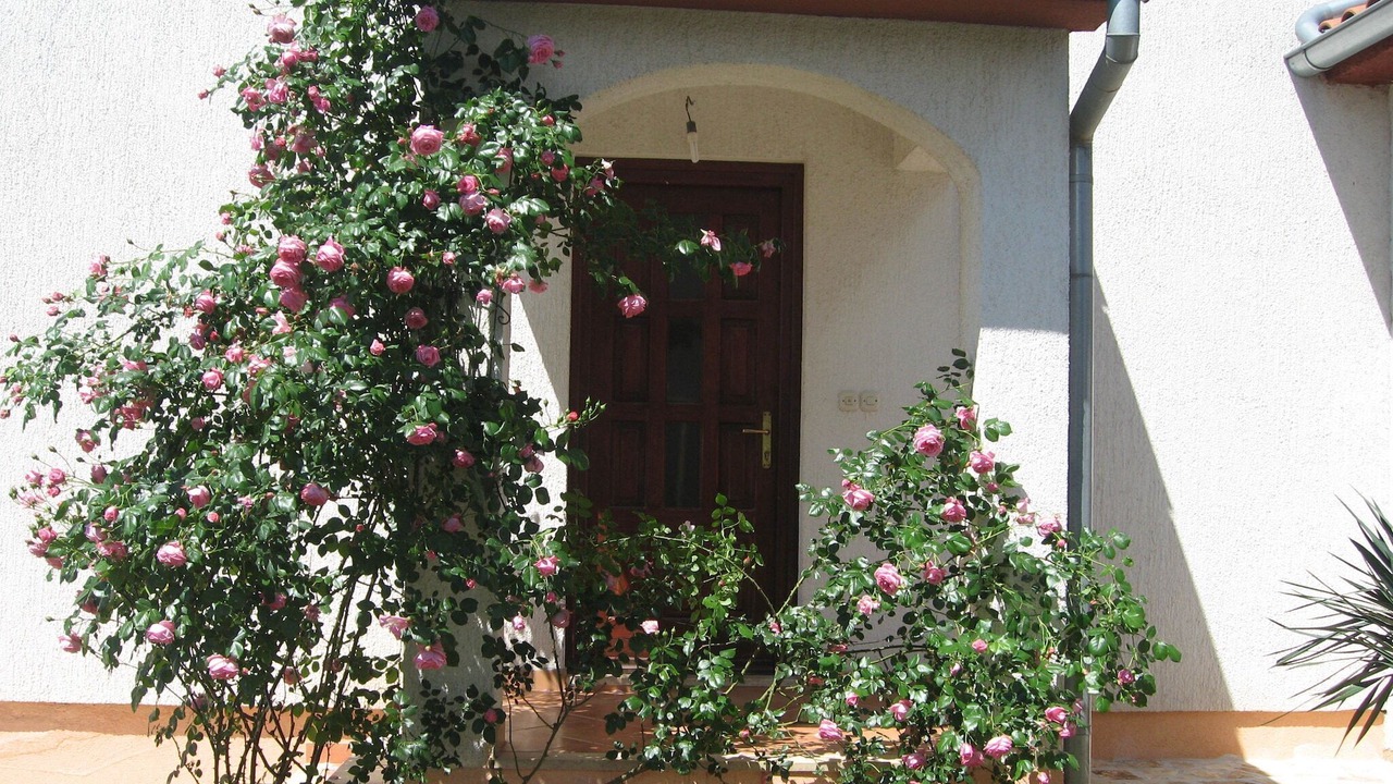 Photo of Outdoor in Vabriga