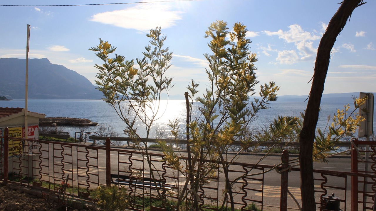Photo of Outdoor in Dugi Rat