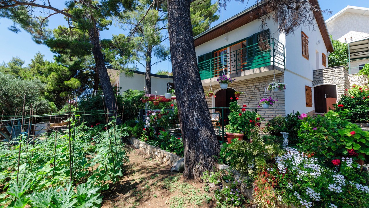 Photo of Outdoor in Zaboric