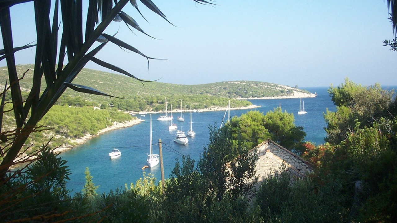 Photo of Others in Hvar