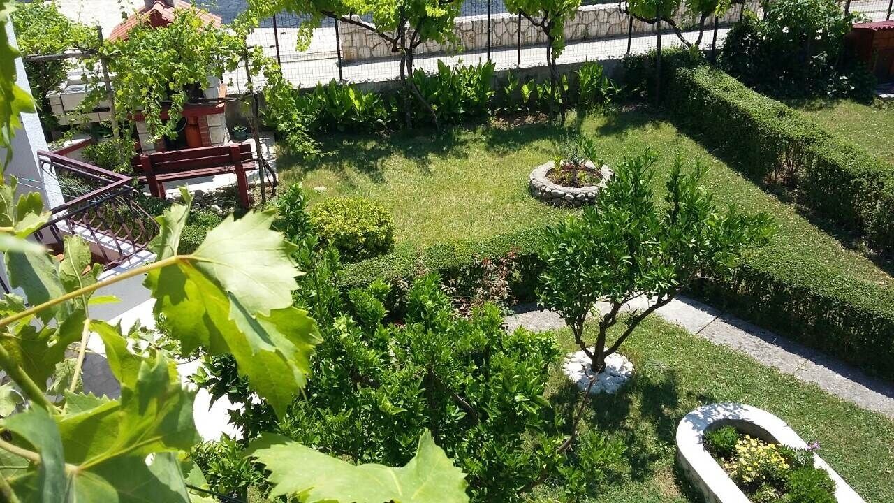 Photo of Outdoor in Palit