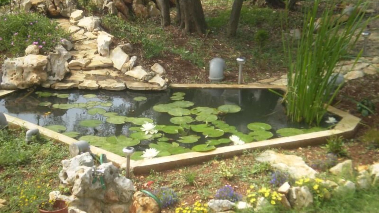 Photo of Outdoor in Rovinj