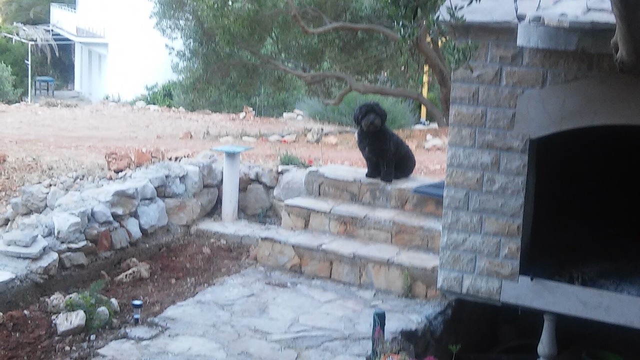 Photo of Outdoor in Gdinj