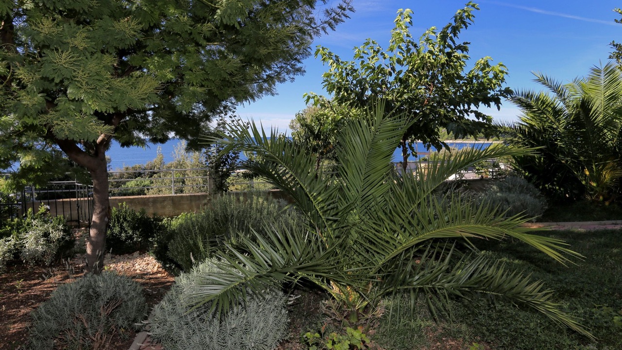 Photo of Outdoor in Rogoznica