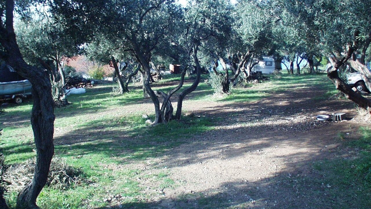 Photo of Others in Zuljana