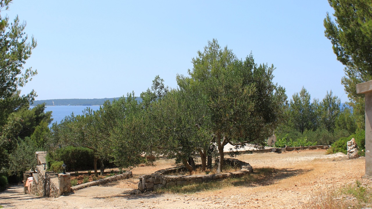 Photo of Others in Zavala