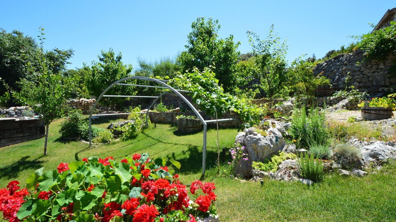 Photo of Outdoor in Seget