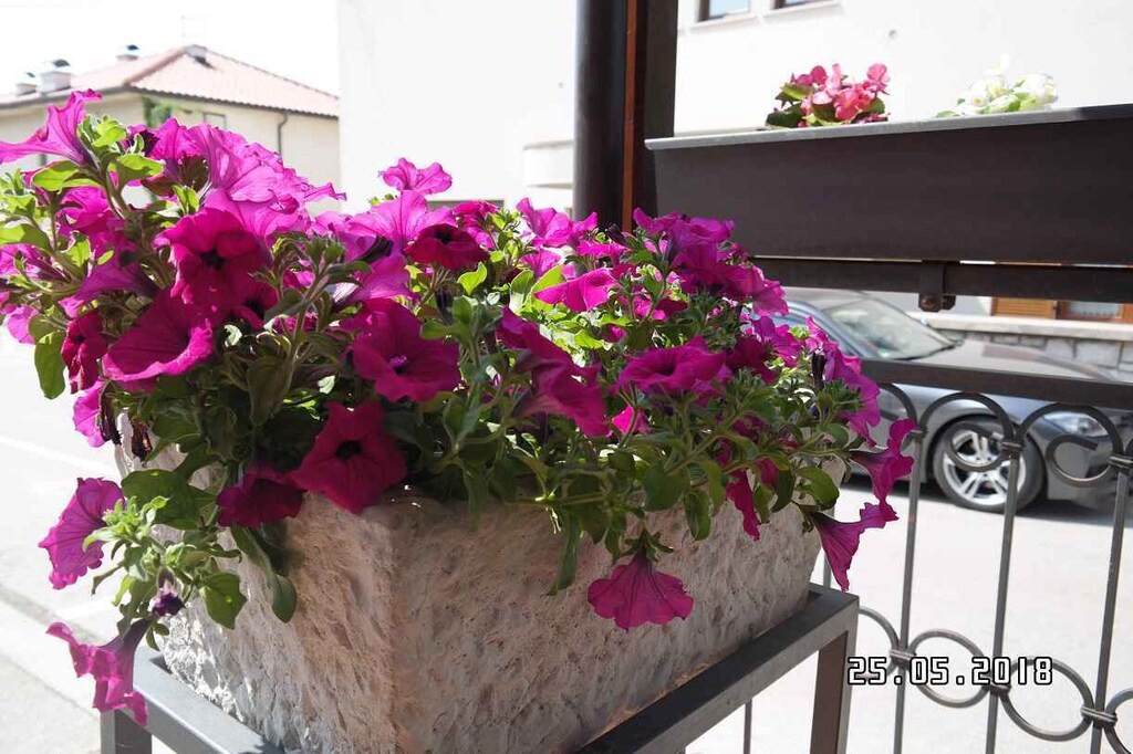 Photo of Patio Balcony in Povile