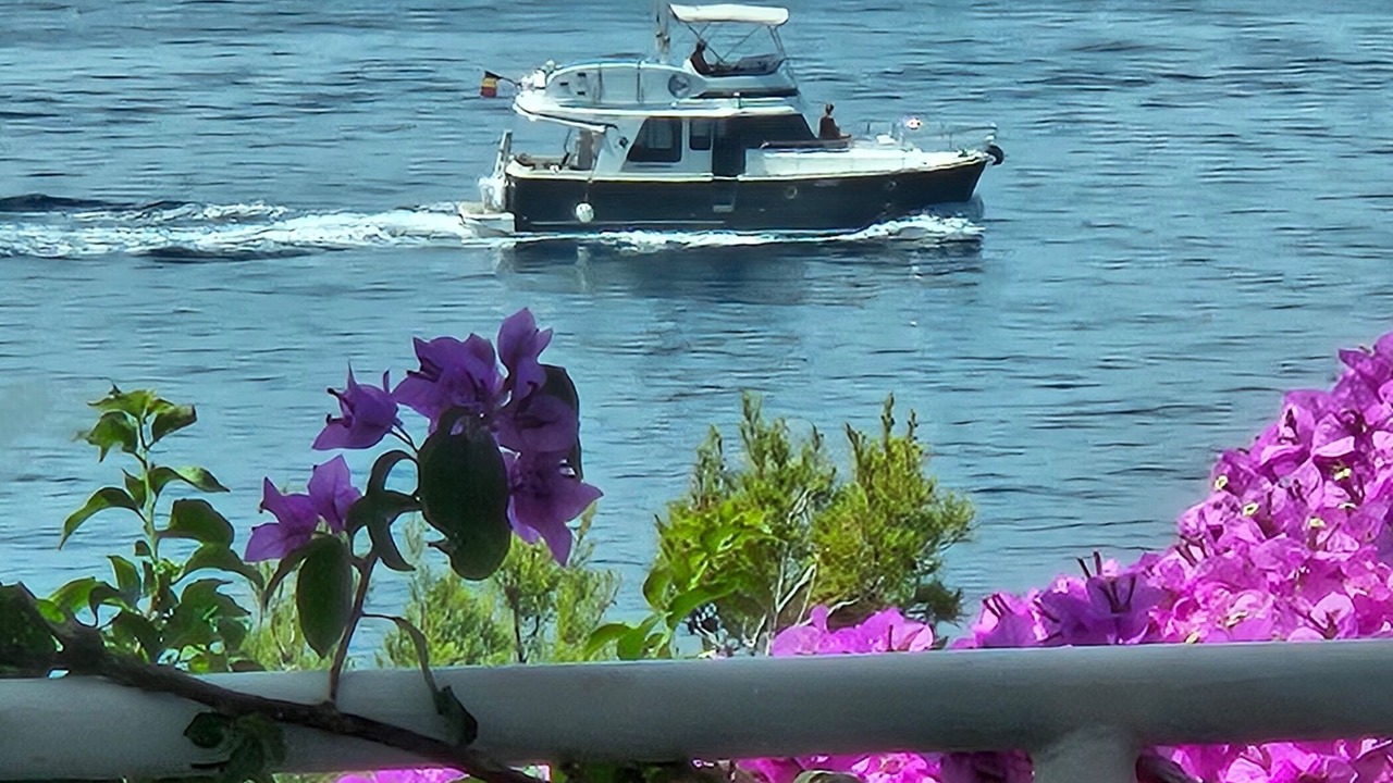 Photo of Others in Susica