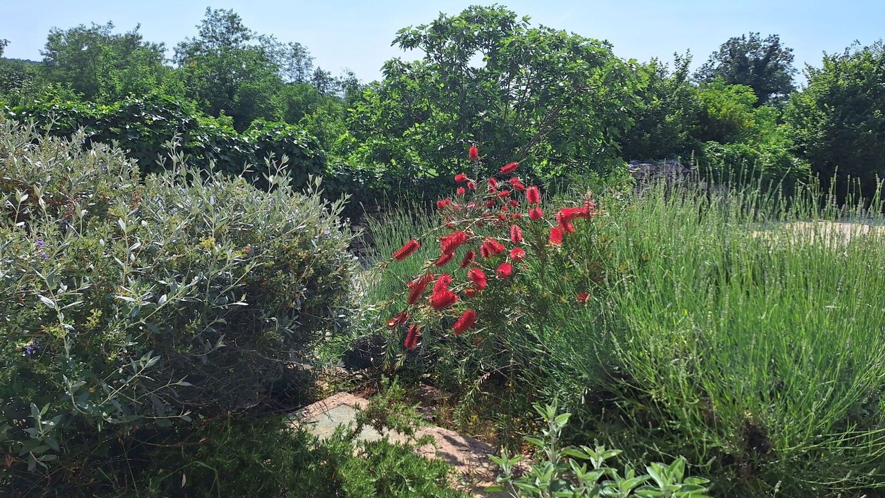 Photo of Outdoor in Makovci