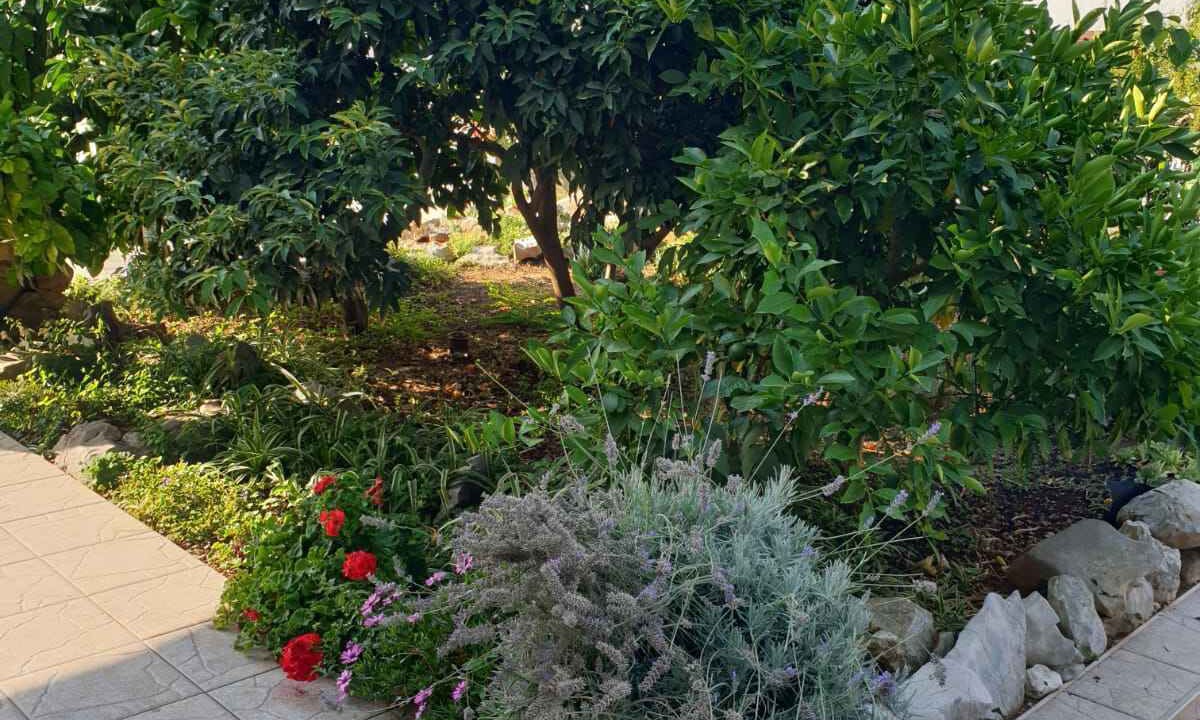 Photo of Outdoor in Pirovac
