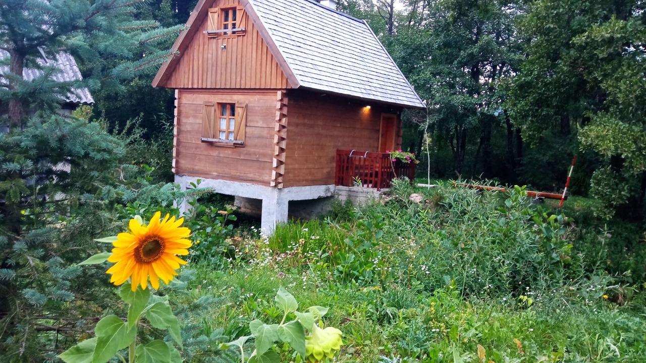 Photo of Outdoor in Vrelo Korenicko