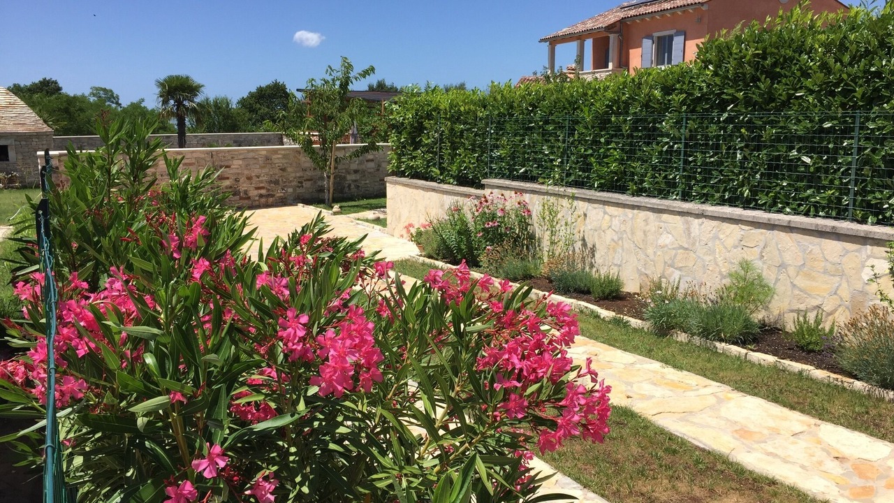 Photo of Outdoor in Marici