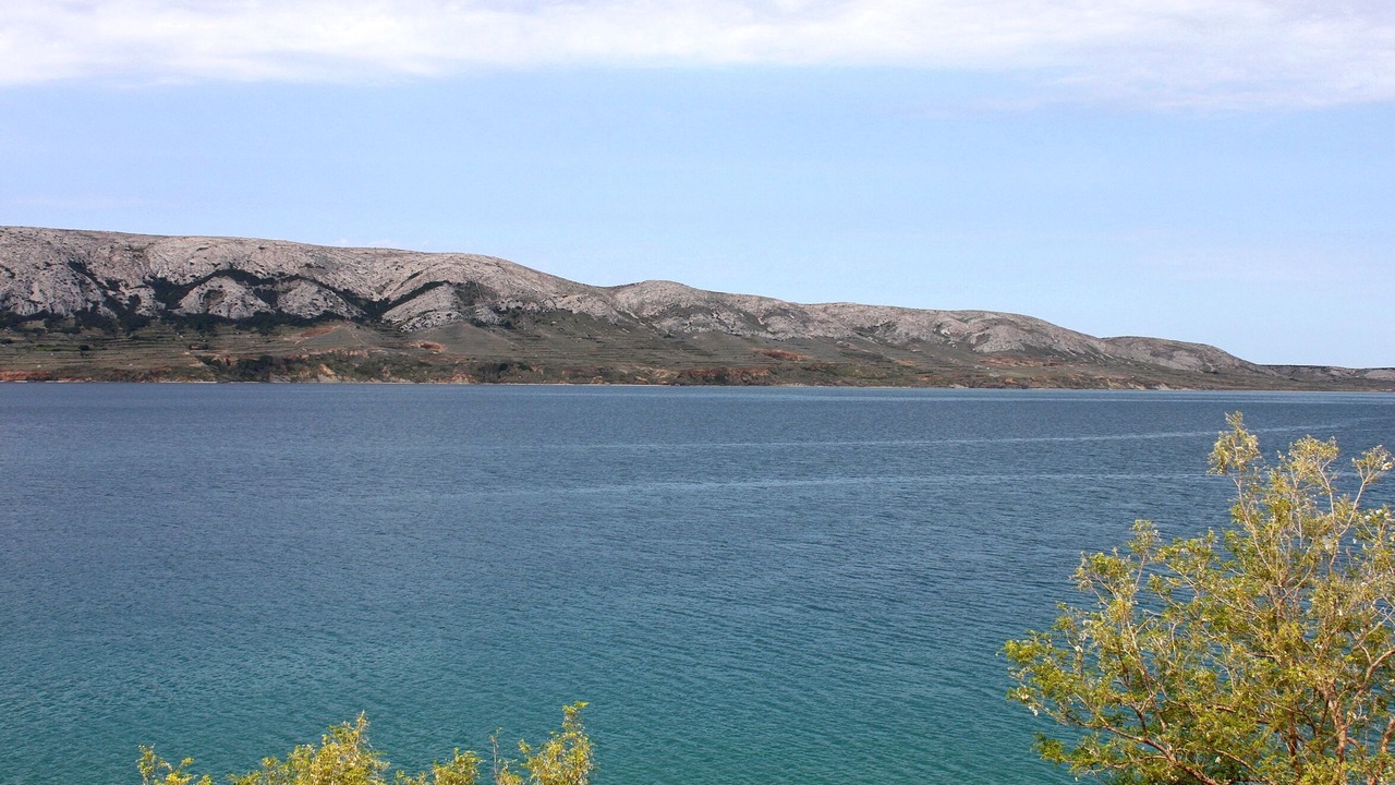 Photo of Others in Metajna