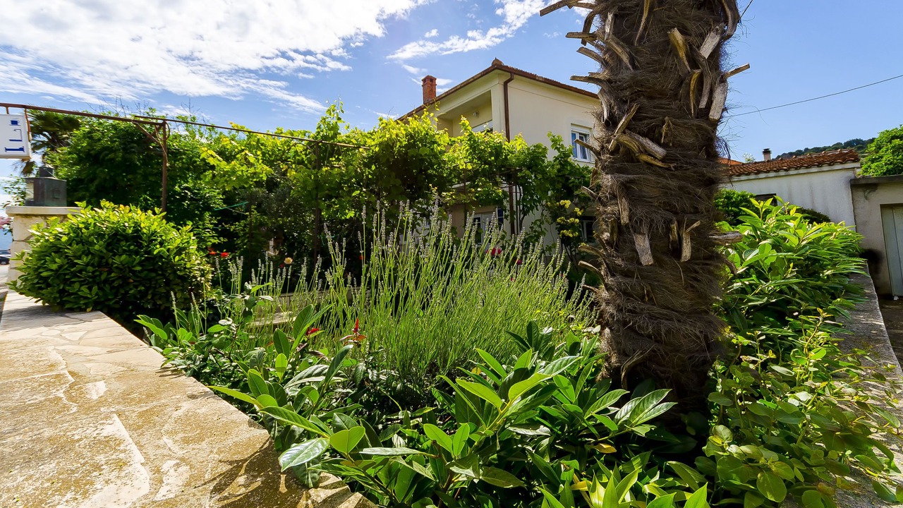 Photo of Outdoor in Trogir