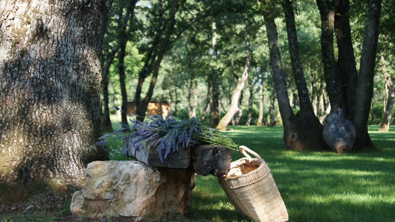 Photo of Outdoor in Karigador