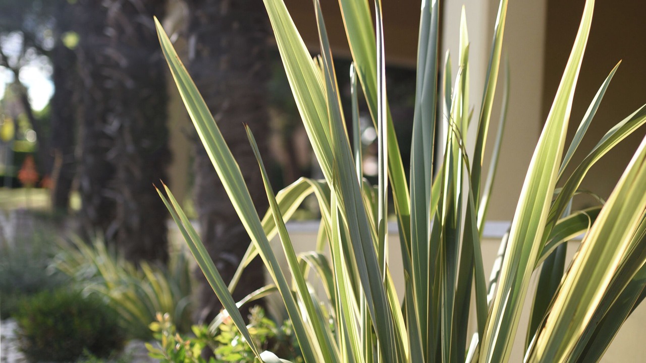 Photo of Outdoor in Grabri