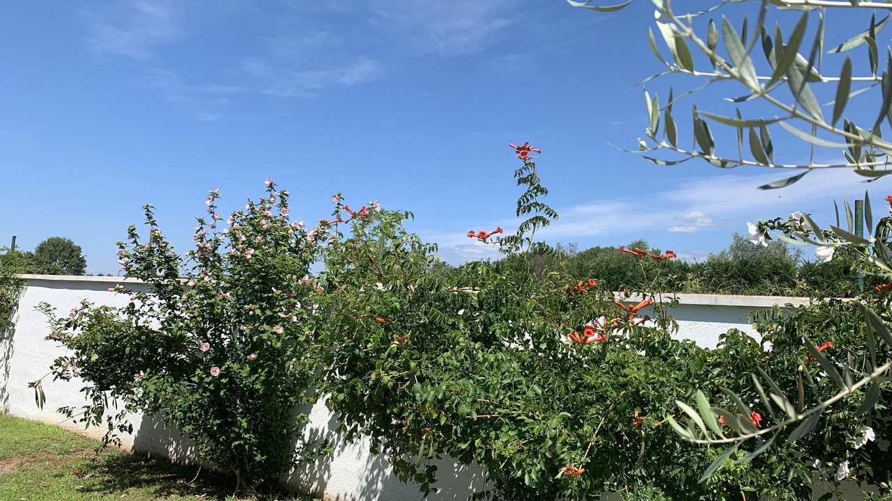 Photo of Outdoor in Dracevac