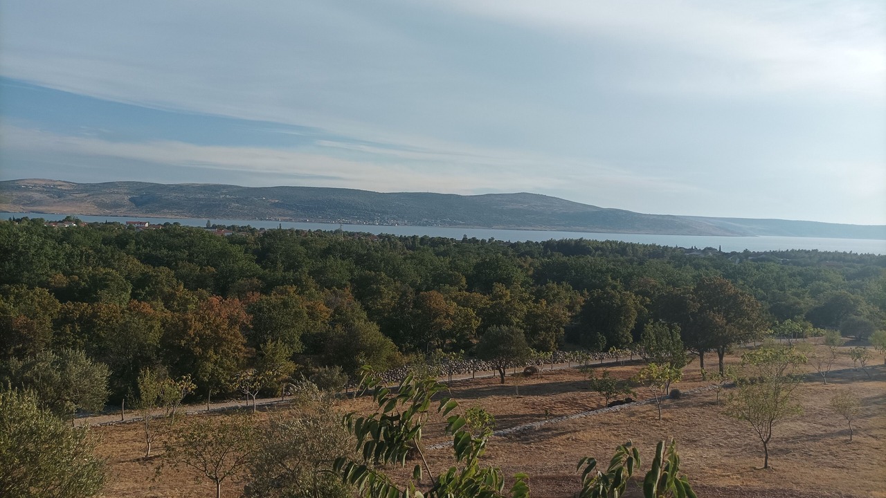 Photo of Others in Starigrad