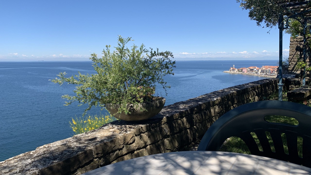 Photo of Outdoor in Piran