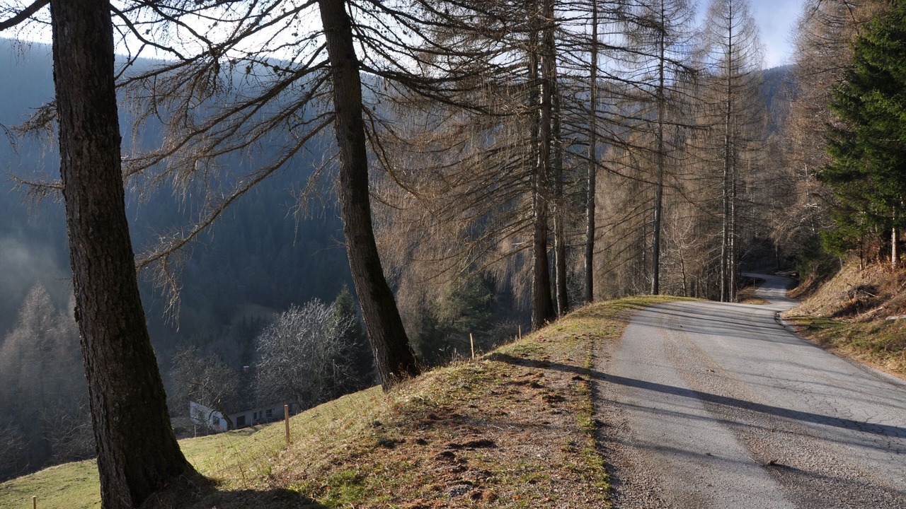 Photo of Others in Zrece